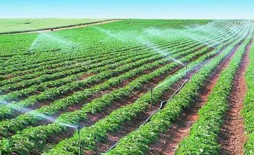 美国鸡吧操比农田高 效节水灌溉